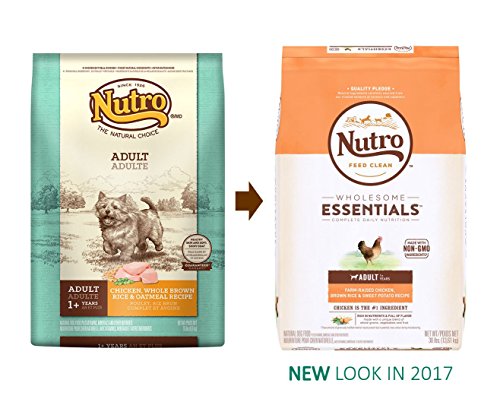 NUTRO NATURAL CHOICE Adult Dry Dog Food, Chicken & Brown Rice Recipe Dog Kibble, 5 lb. Bag