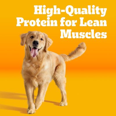 Pedigree Hi Pro Chicken  and  Turkey Dog Food, 18 lb.