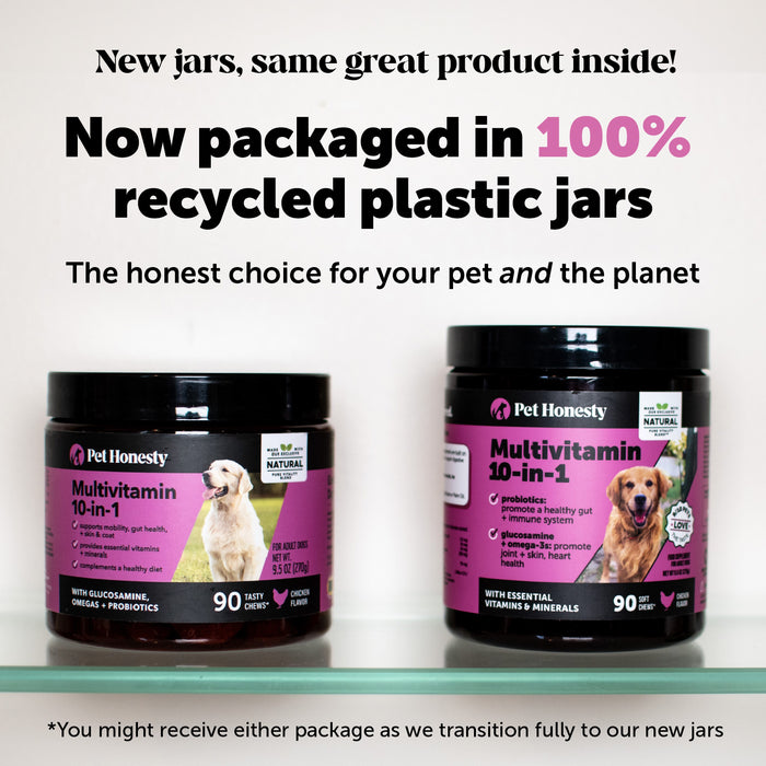 Pet Honesty 10-for-1 Multivitamin Chicken Soft Chew for Dogs