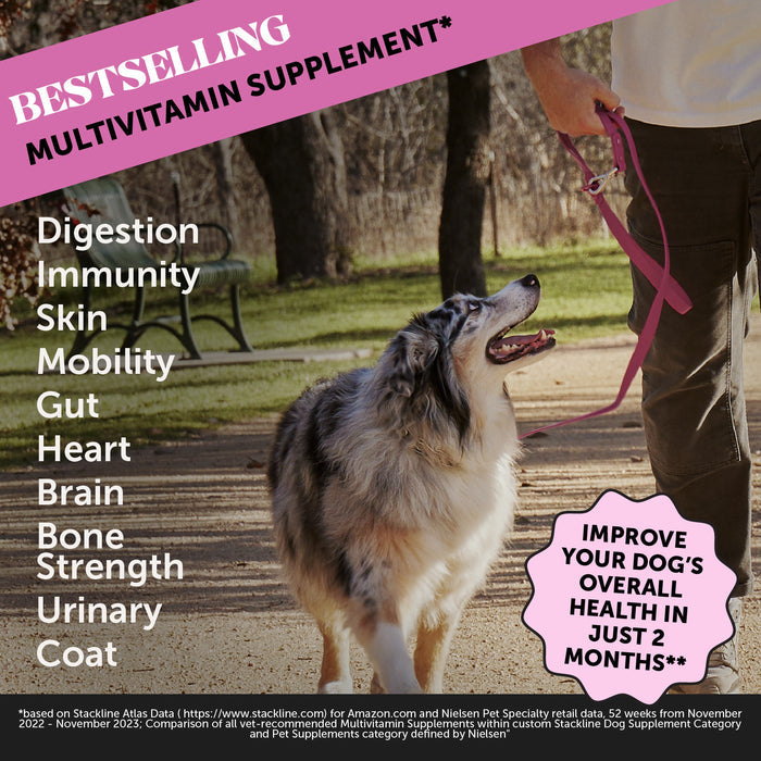 Pet Honesty 10-for-1 Multivitamin Chicken Soft Chew for Dogs