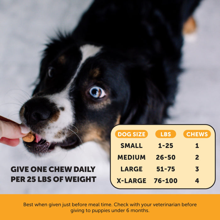 Pet Honesty Allergy Support Peanut Butter Soft Chew for Dogs