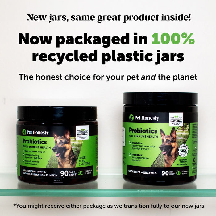 Pet Honesty Digestive Probiotics Pumpkin Soft Chew for Dogs