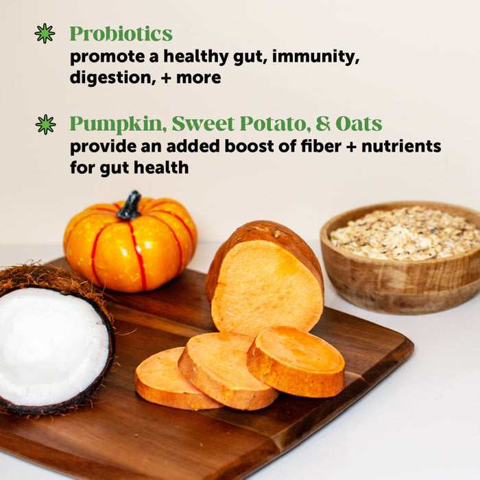 Pet Honesty Digestive Probiotics Pumpkin Soft Chew for Dogs