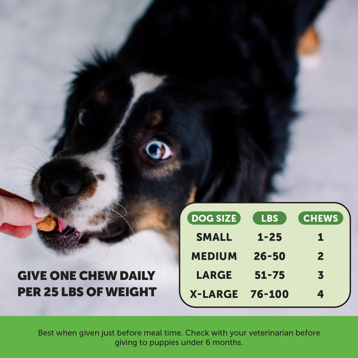 Pet Honesty Digestive Probiotics Pumpkin Soft Chew for Dogs