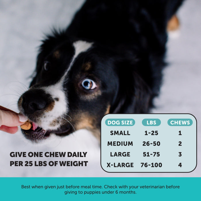 Pet Honesty Hemp Calming Chicken Soft Chew for Dogs