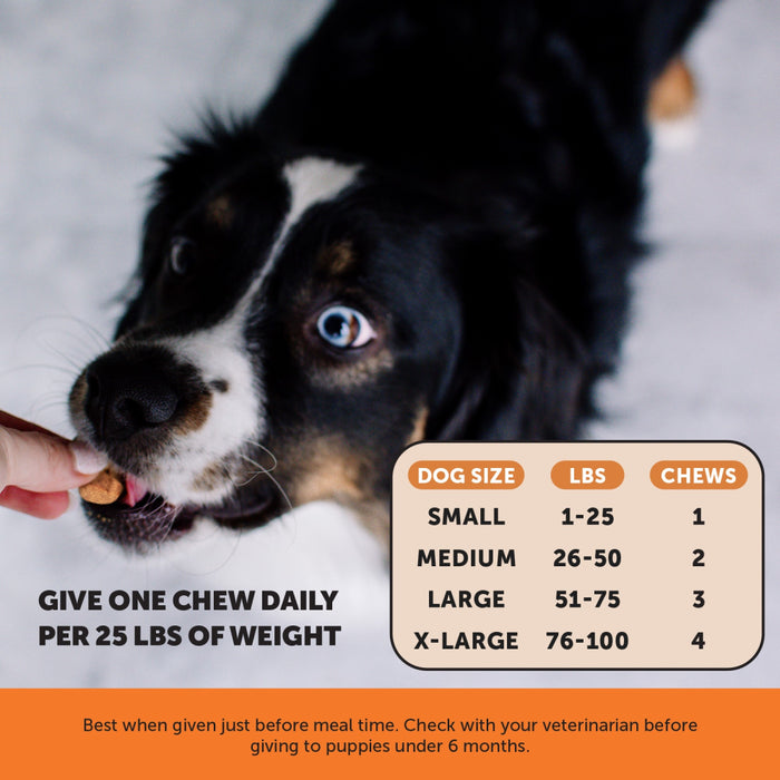 Pet Honesty Hip+Joint Health Chicken Soft Chew for Dogs