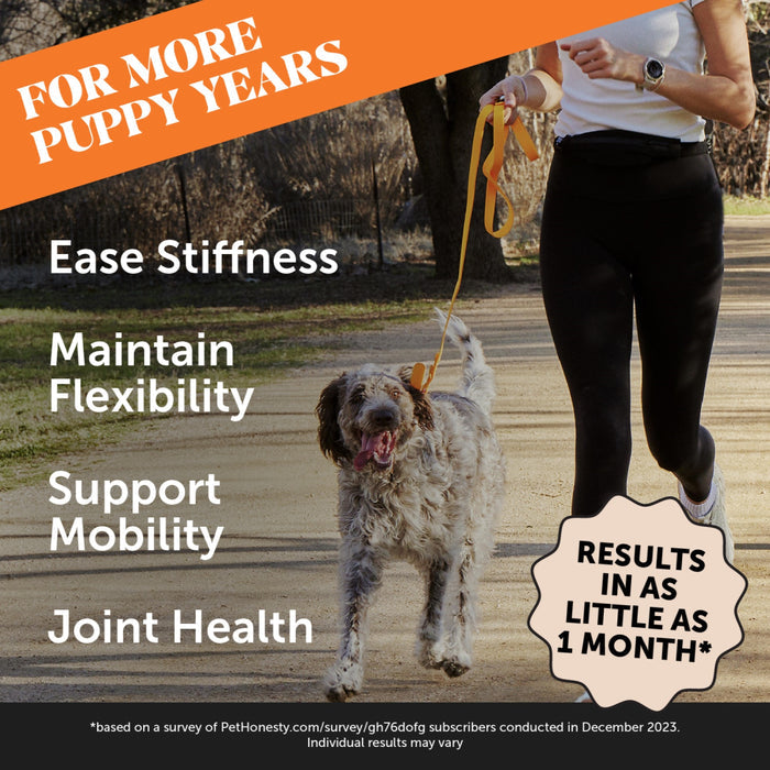 Pet Honesty Hip+Joint Health Chicken Soft Chew for Dogs