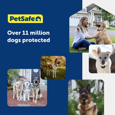 PetSafe 500 ft. Extra In-Ground Fence Boundary Wire and Training Flags