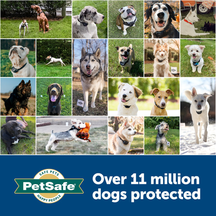 PetSafe® 6-Volt Alkaline Battery