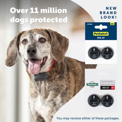 PetSafe 6V Replacement Dog Collar Batteries, 2-Pack