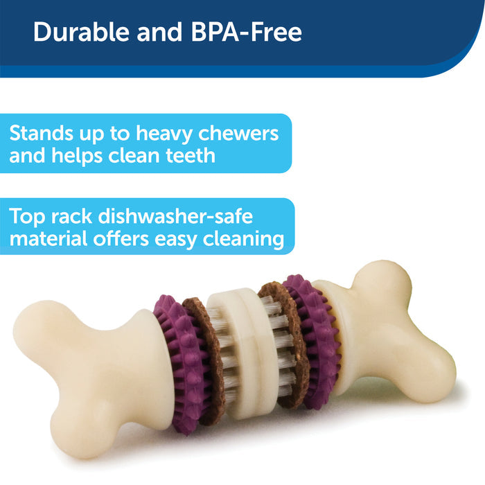 PetSafe Busy Buddy Bristle Bone Dog Toy, Extra Small
