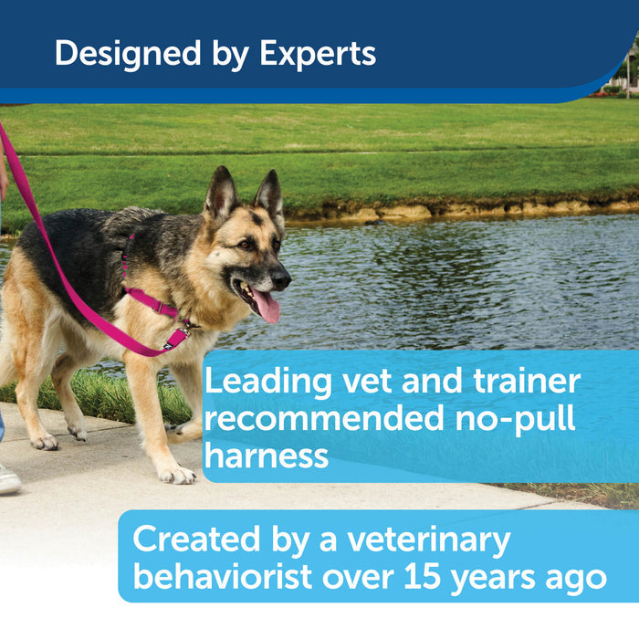 PetSafe Easy Walk Dog Harness - No Pull Dog Harness - Black