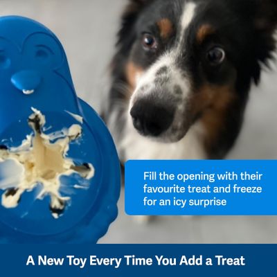 PetSafe Freezable Treat Holding Chilly Penguin, Medium/Large