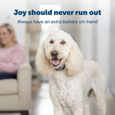 PetSafe Replacement Dog Collar Battery