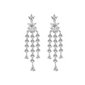Silver Shiza Dangler Earrings