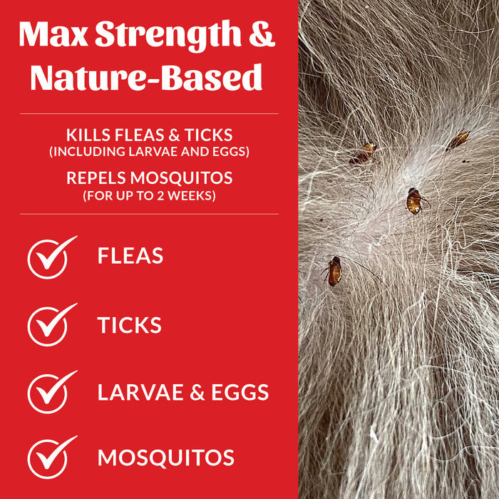 Skout's Honor Flea + Tick Yard Spray For Dogs