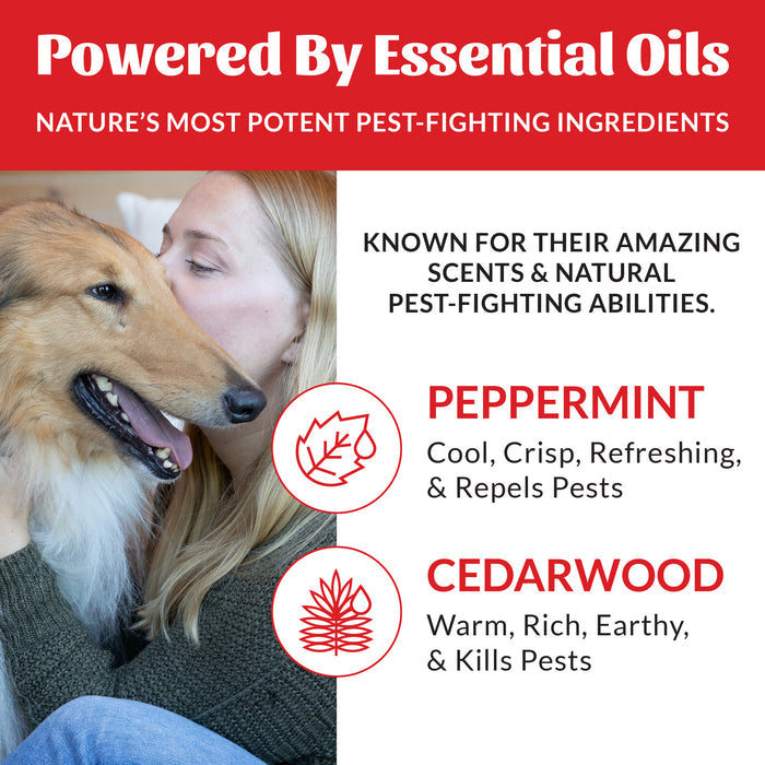 Skout's Honor Flea + Tick Yard Spray For Dogs