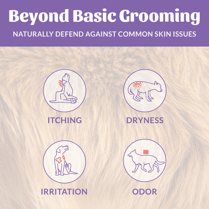 Skouts Honor Probiotic Deodorizer Lavender