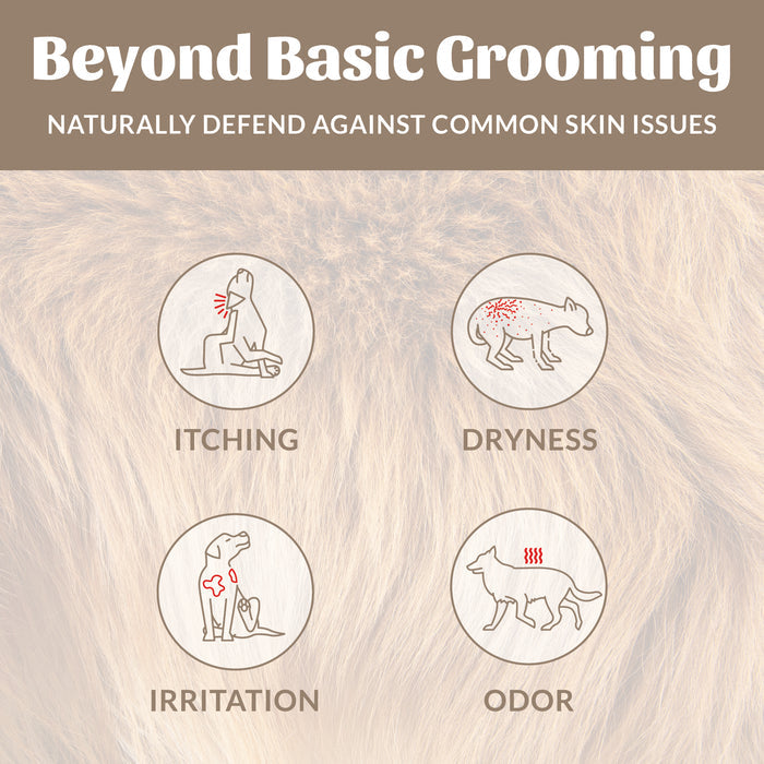 Skouts Honor Probiotic Shampoo Plus Conditioner Dog of the Woods