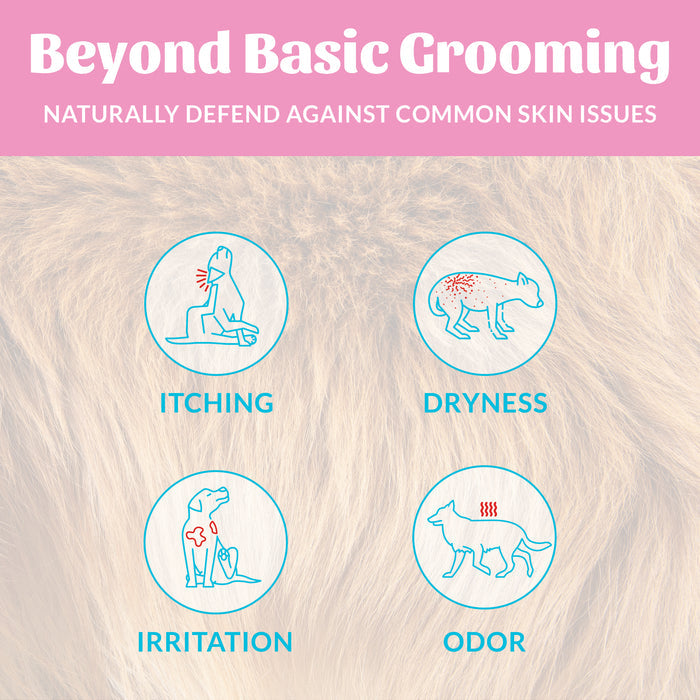 Skouts Honor Probiotic Shampoo plus Conditioner Happy Puppy