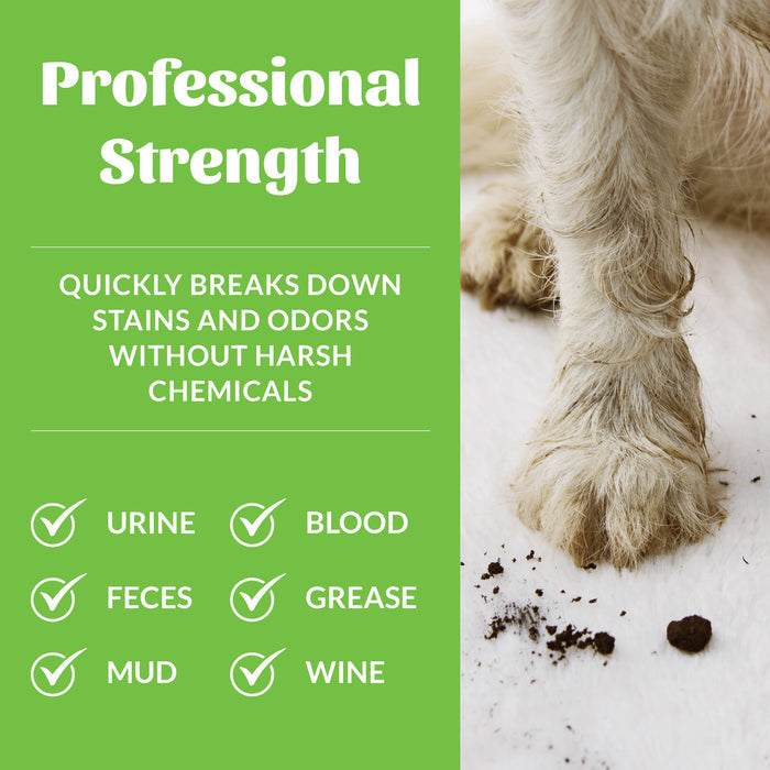 Skout's Honor Stain & Odor Remover