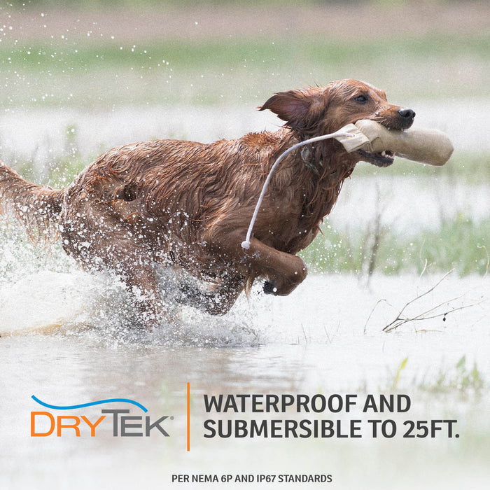SportDOG Brand® YardTrainer 100S Remote Trainer - For Stubborn Dogs
