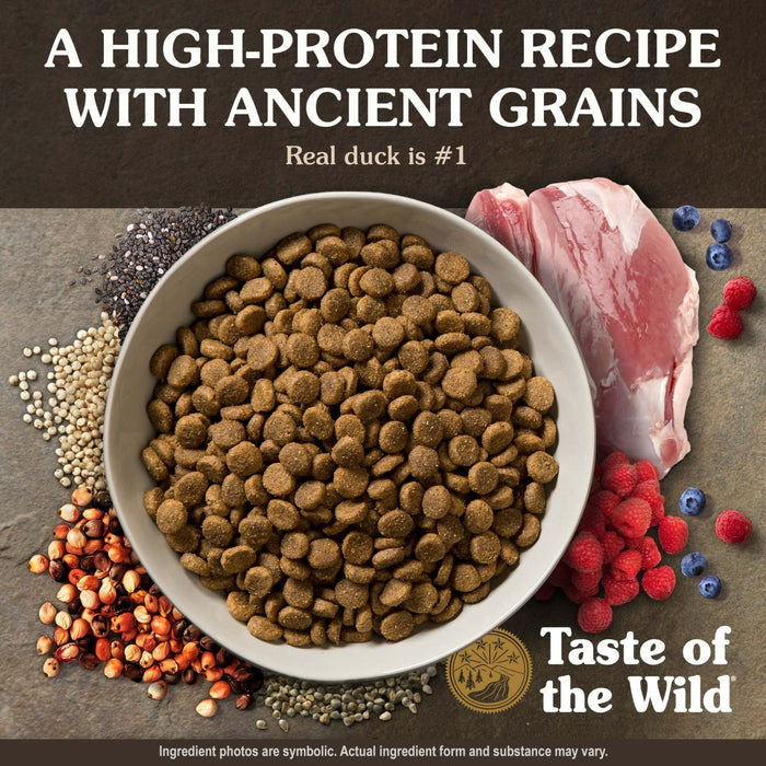 Taste of the Wild Ancient Wetlands Canine Recipe with Roasted Fowl Dry Dog Food