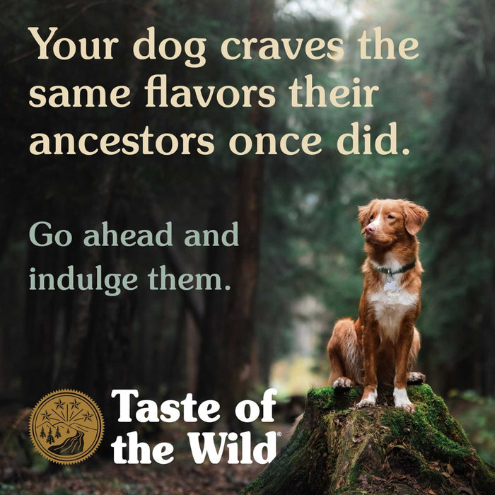 Taste of the Wild Ancient Wetlands Canine Recipe with Roasted Fowl Dry Dog Food