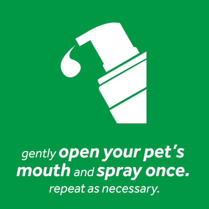 TropiClean Fresh Breath Mint Foam for Pets, 4.5oz