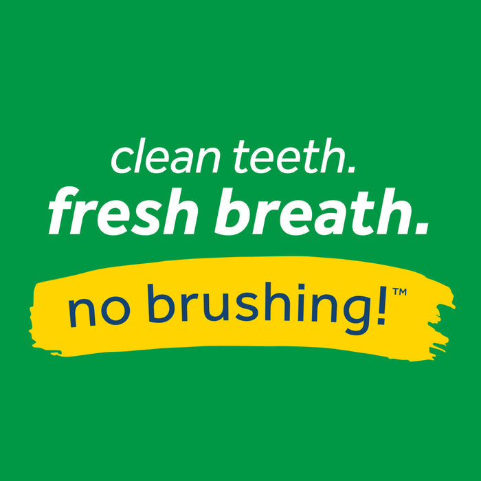 TropiClean Fresh Breath Mint Foam for Pets, 4.5oz
