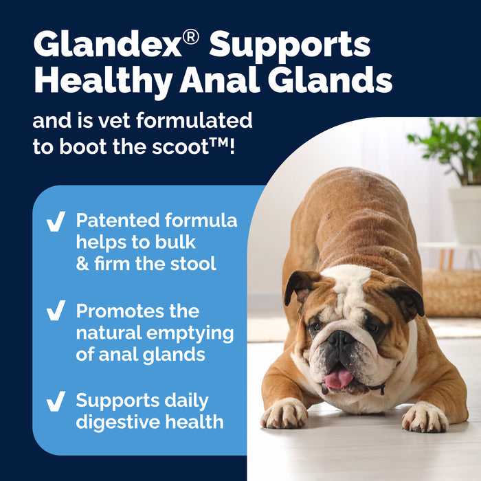 Vetnique Glandex for Dogs Anal Gland & Digestive Support Soft Chews, Peanut Butter, 60ct