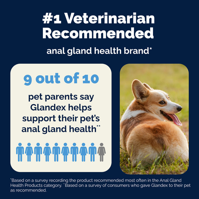 Vetnique Glandex for Dogs Anal Gland & Digestive Support Soft Chews, Peanut Butter, 60ct