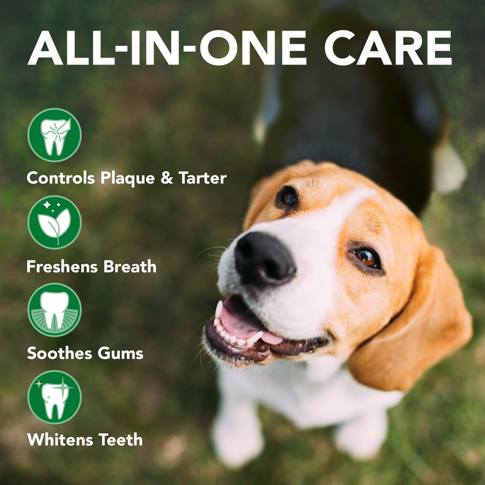 Vet's Best Dental Care Kit with Toothbrush and Gel 3.5oz