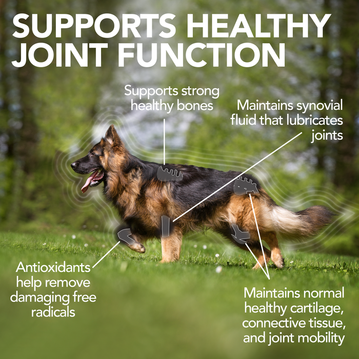 Vet's Best Level 3 Advanced Hip and Joint 90 Tabs