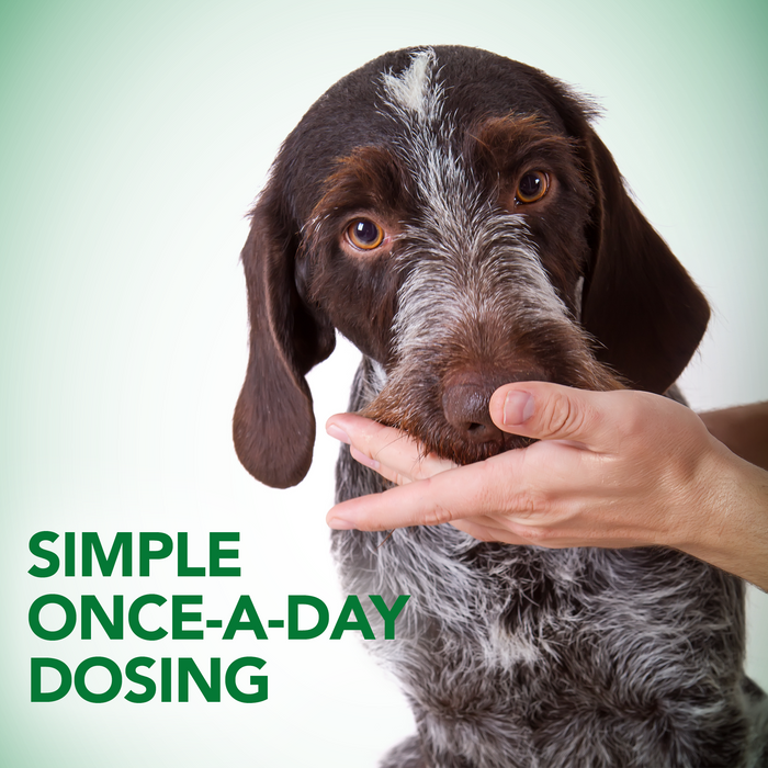 Vet's Best Probiotic Soft Chews 30ct