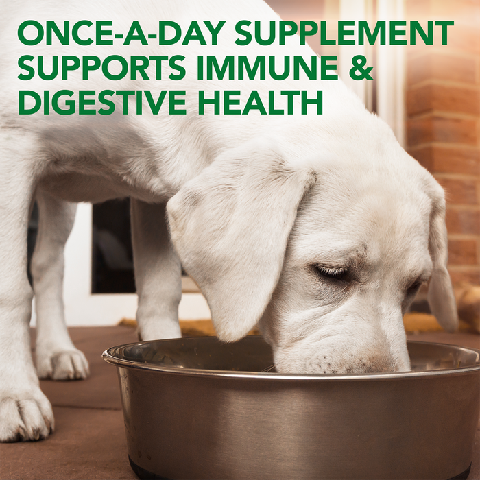 Vet's Best Probiotic Soft Chews 30ct