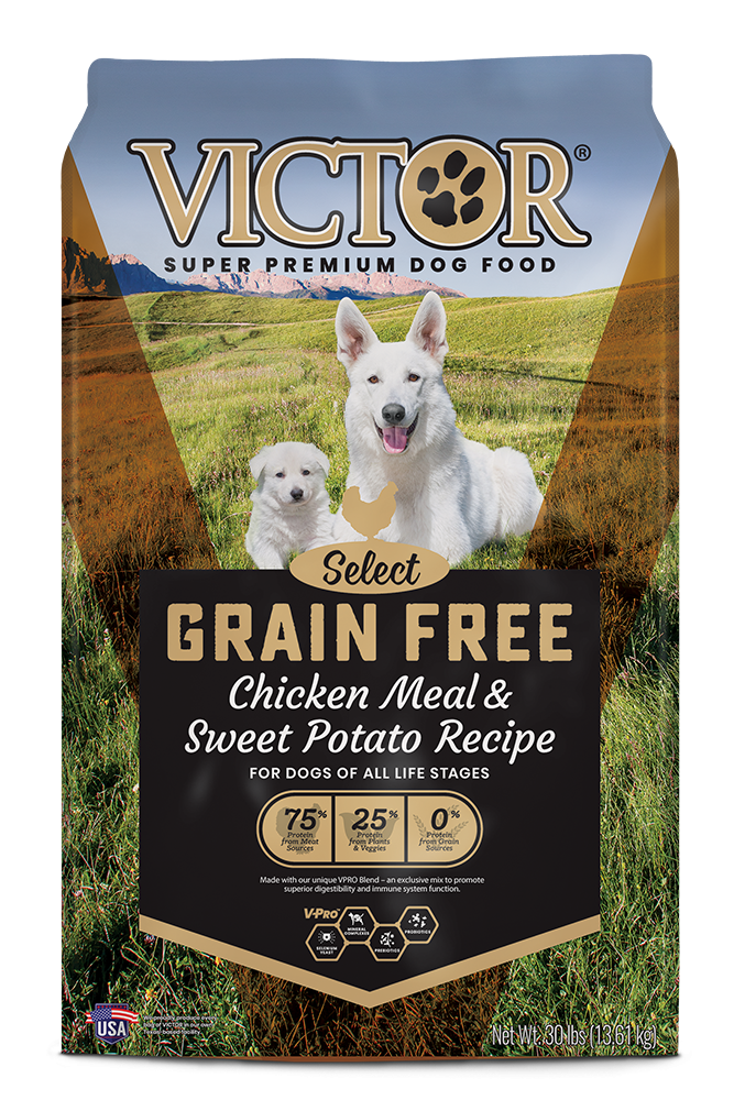 Victor Select Grain Free Chicken Meal & Sweet Potato Recipe Dry Dog Food