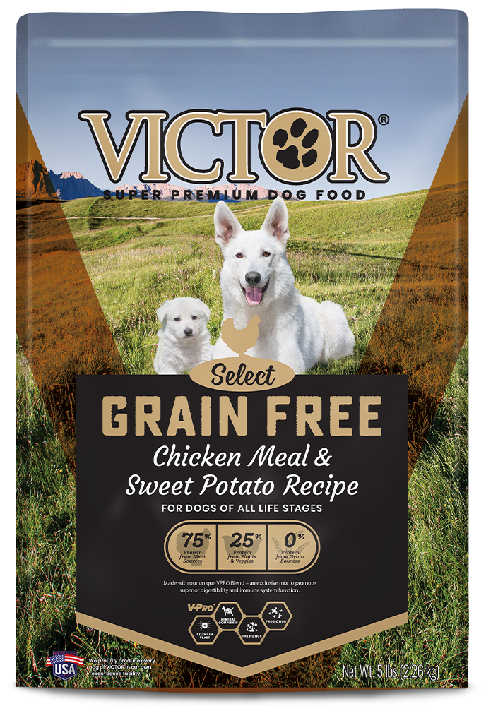 Victor Select Grain Free Chicken Meal & Sweet Potato Recipe Dry Dog Food
