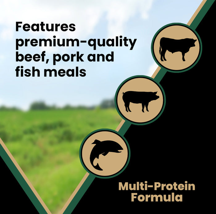 Victor Grain Free Hero Dry Dog Food
