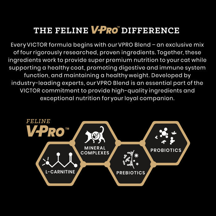 Victor Hi Pro Plus Active Cat & Kitten Dry Cat Food