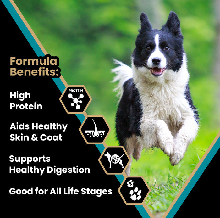 Victor Hi Pro Plus Dry Dog Food