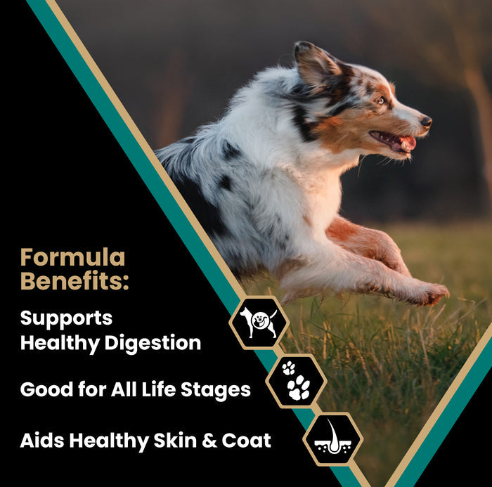Victor Ocean Fish Dry Dog Food