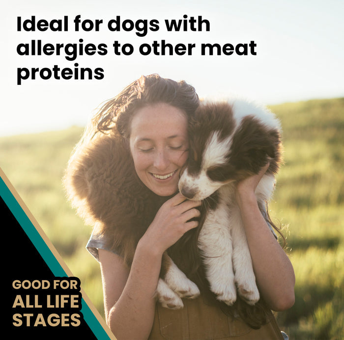 Victor Ocean Fish Dry Dog Food