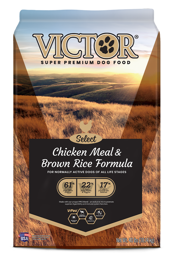 Victor Select Chicken Meal & Brown Rice Formula Dry Dog Food