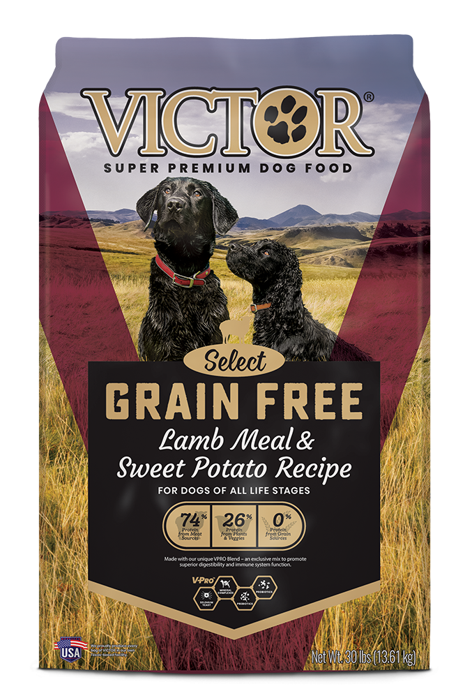 Victor Select Grain Free Lamb Meal & Sweet Potato Canine Recipe Dry Dog Food