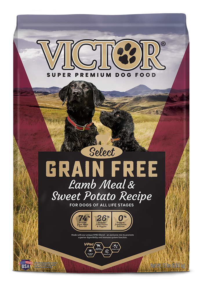 Victor Select Grain Free Lamb Meal & Sweet Potato Canine Recipe Dry Dog Food