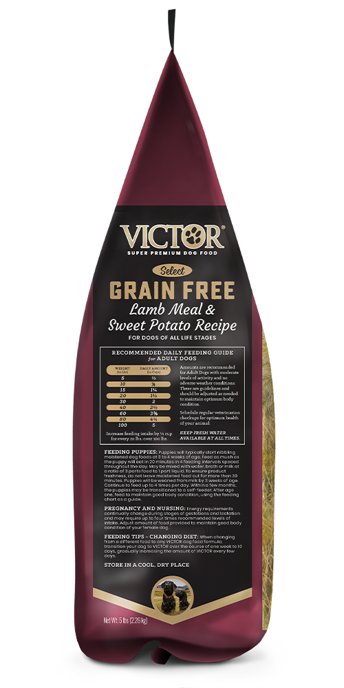 Victor Select Grain Free Lamb Meal & Sweet Potato Canine Recipe Dry Dog Food