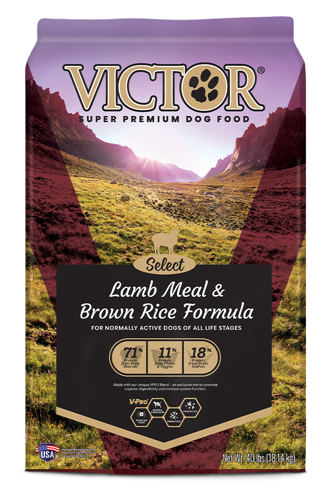 Victor Select Lamb Meal & Brown Rice Formula Dry Dog Food