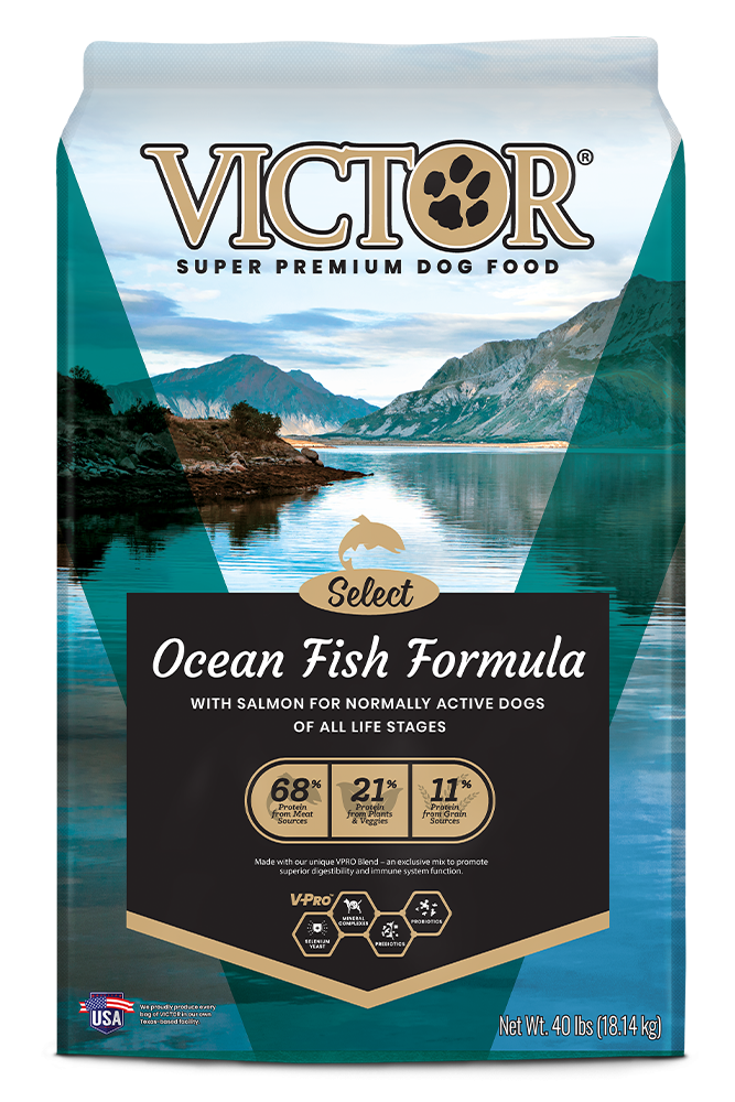 Victor Select Ocean Fish Formula Dry Dog Food