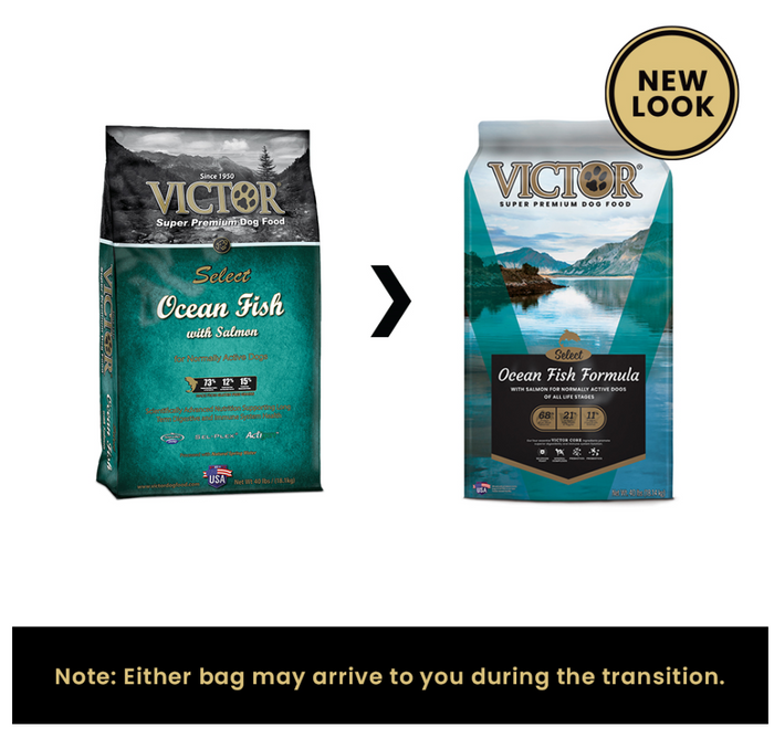 Victor Select Ocean Fish Formula Dry Dog Food